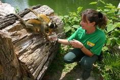 soigneur animalier dans le parc du zoologique du Pal (Allier)