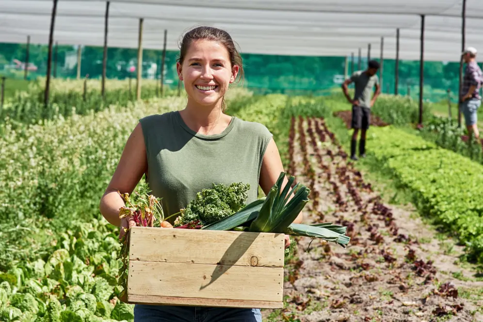 une maraîchère sous une serre portant une cagette de légumes