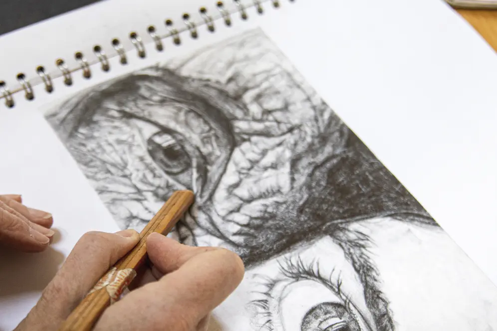 Image d'illustration, crédit photo ci-après