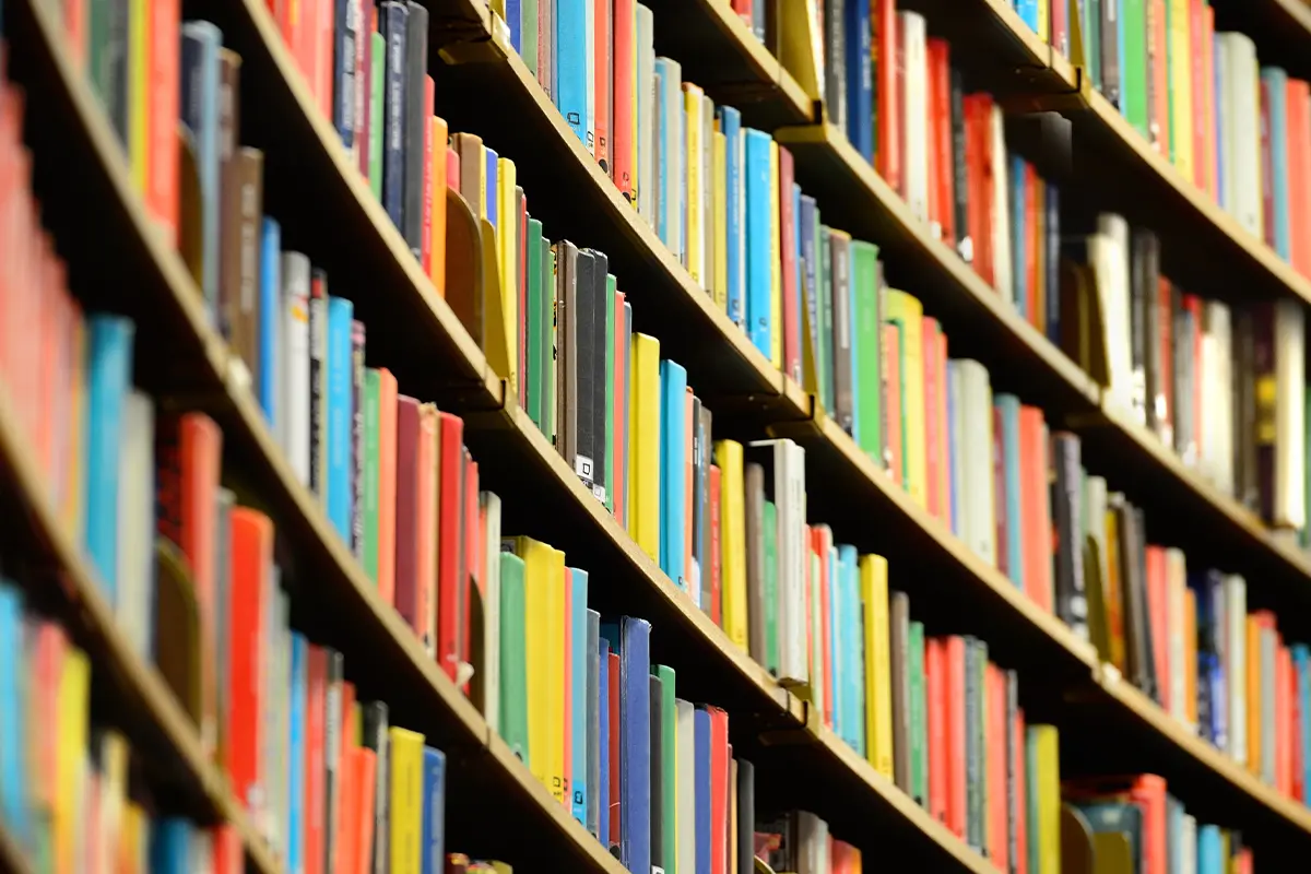 Image d'illustration, crédit photo ci-après