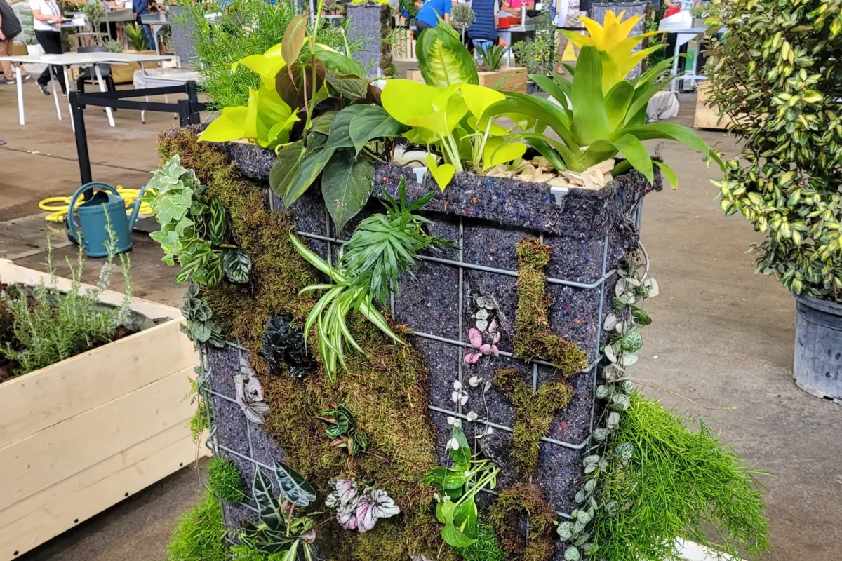 Mur v&eacute;g&eacute;tal r&eacute;alis&eacute; en comp&eacute;tition des m&eacute;tiers d'horticulture