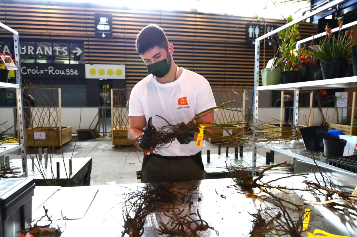 Homme en travaux d'horticulture au s&eacute;cateur en comp&eacute;tition