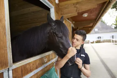 Pierre-Alfred caresse la t&ecirc;te d'un cheval dans son &eacute;curie