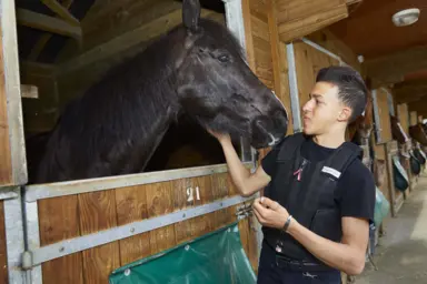 Pierre-Alfred caresse la t&ecirc;te d'un cheval dans son &eacute;curie