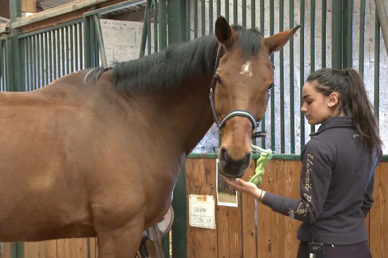 Une &eacute;l&egrave;ve caresse le museau d'un cheval