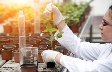 Une personne en blouse blanche manipule un tube au‑dessus d’un plant, dans un laboratoire rempli de pots et de matériel scientifique.