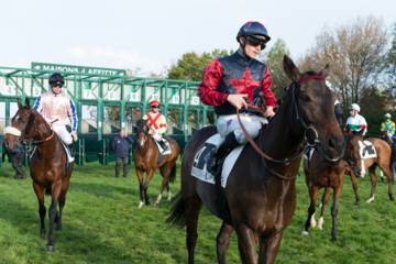 Plusieurs jockeys en selle sur leurs chevaux